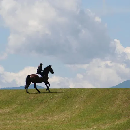 Gut Drasing Pensjonat