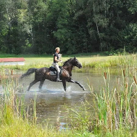 Pensjonat Gut Drasing Krumpendorf