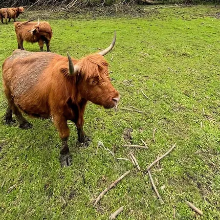 Gut Drasing Affittacamere Krumpendorf