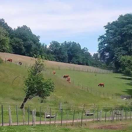 Affittacamere Gut Drasing Krumpendorf