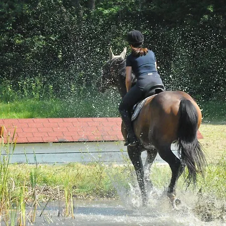 Gut Drasing Affittacamere Krumpendorf