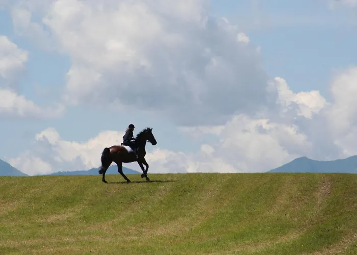 Gut Drasing Pensjonat