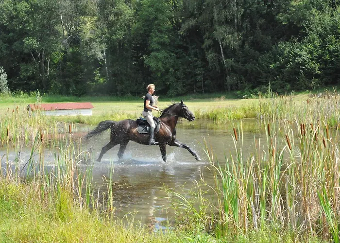 Pensjonat Gut Drasing Krumpendorf