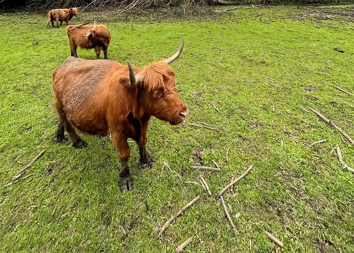 Gut Drasing Pensjonat Krumpendorf
