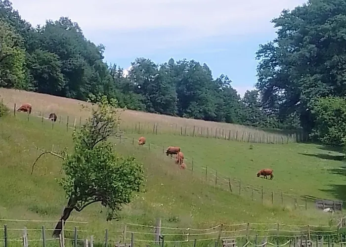 Pensjonat Gut Drasing Krumpendorf