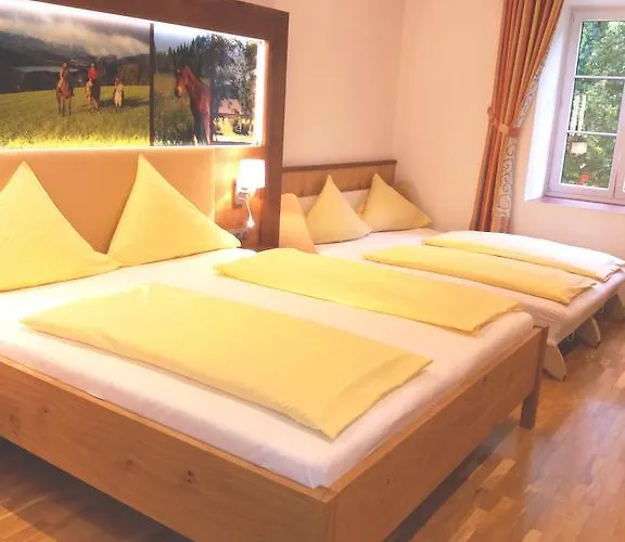 Pensjonat Gut Drasing 3*