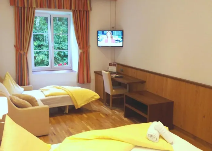 Pensjonat Gut Drasing 3*