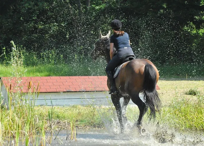 Gut Drasing Pensjonat Krumpendorf